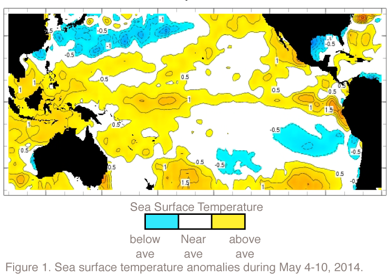 ENSO Sea Surface Temperature Anomalies