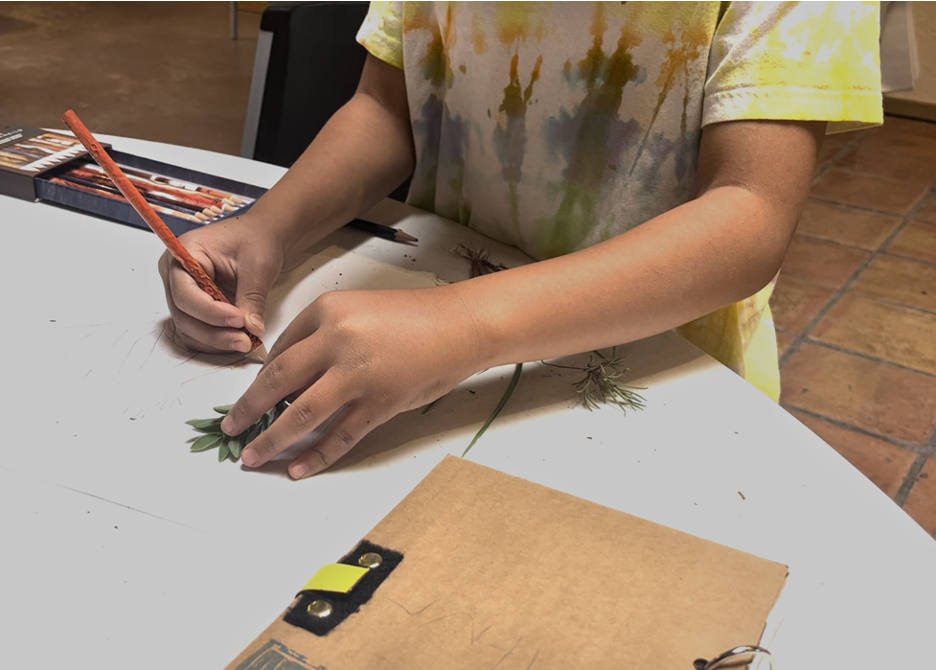 A child carefully draws a leaf
