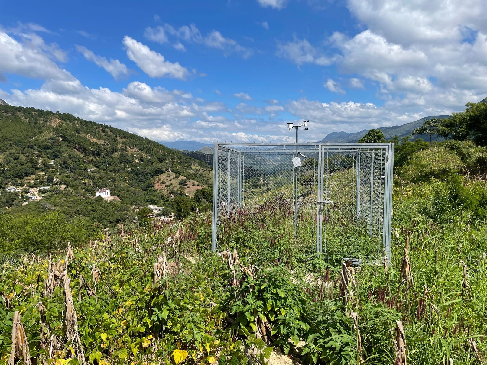 One of the weather stations we installed in the department of Chiquimula among a field of corn that has been bent over to dry out before harvest.