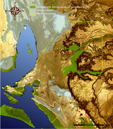 Close-up map of Laguna San Ignacio and the ELEA ejido