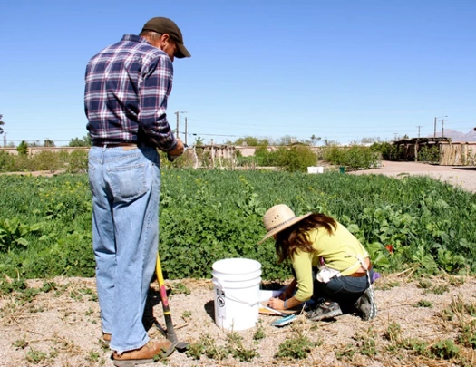 The Ramírez-Andreotta lab collecting soil samples at Mission Garden circa 2015.