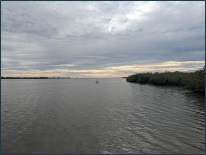 Photo 3: Laguna la Cruz coastal wetland