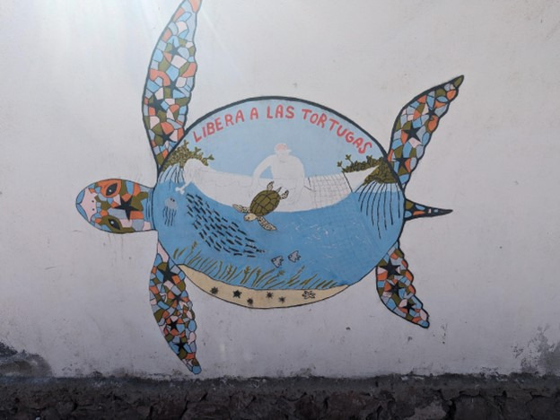 Photo 4: Public art encouraging releasing sea turtles caught in fishing nets; central Kino.