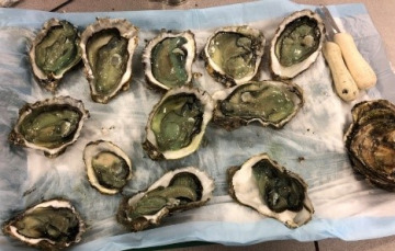 Oyster on a plate