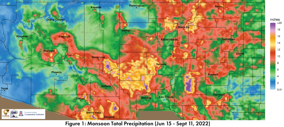 monsoon-2022