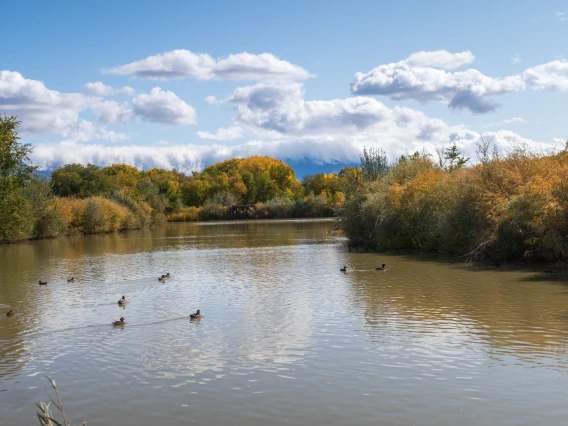 Albuquerque Rio Grande river