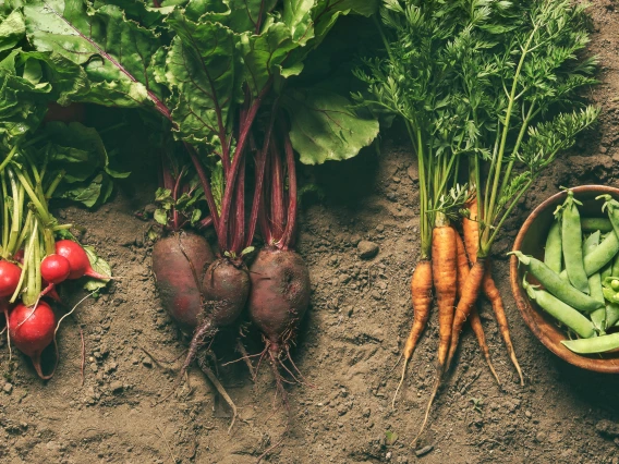 Vegetables
