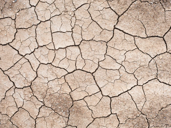 drought