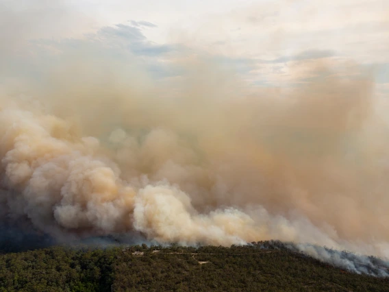 wildfire smoke