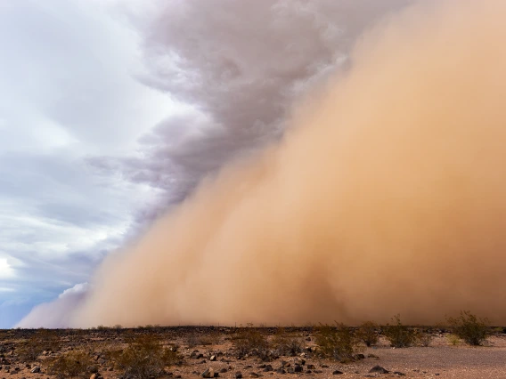 dust storm