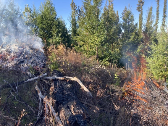 Prescribed Fire