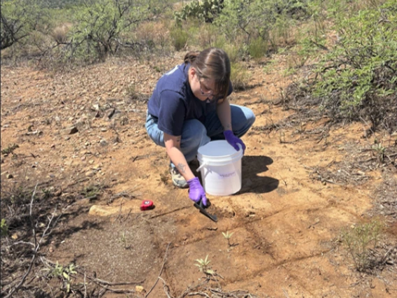 Lois Polashenski Taking a ground sample