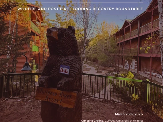 Cover Page Image - Lessons from Ruidoso report