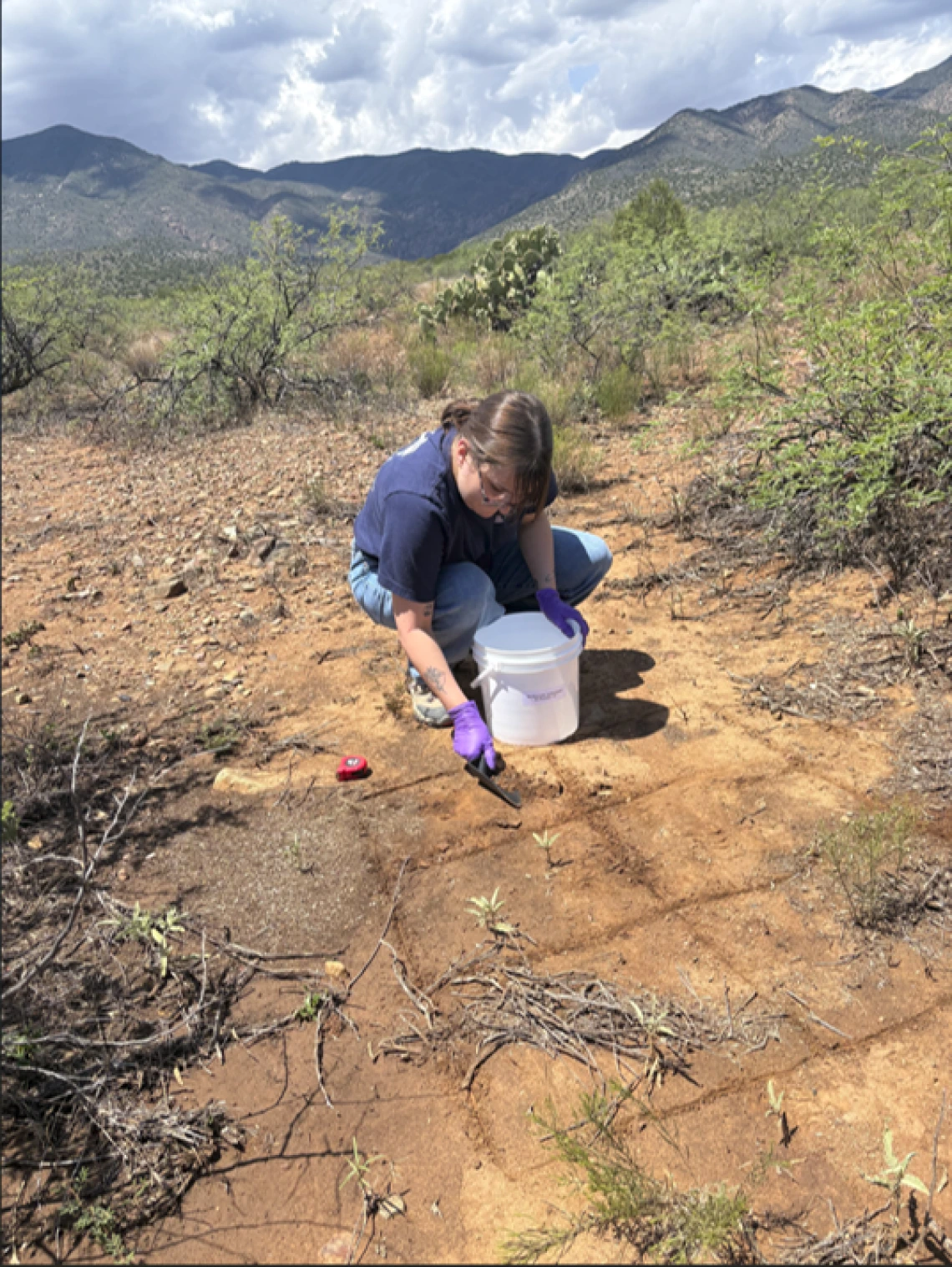 Lois Polashenski Taking a ground sample