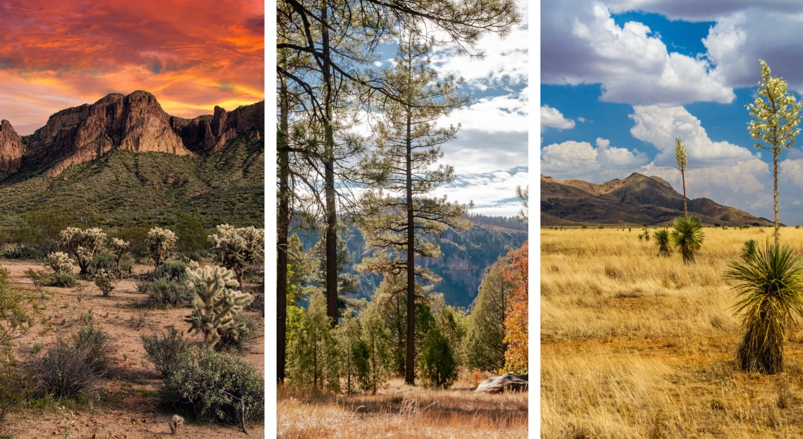 Stock photo combination of grassland, forest, and shrubland