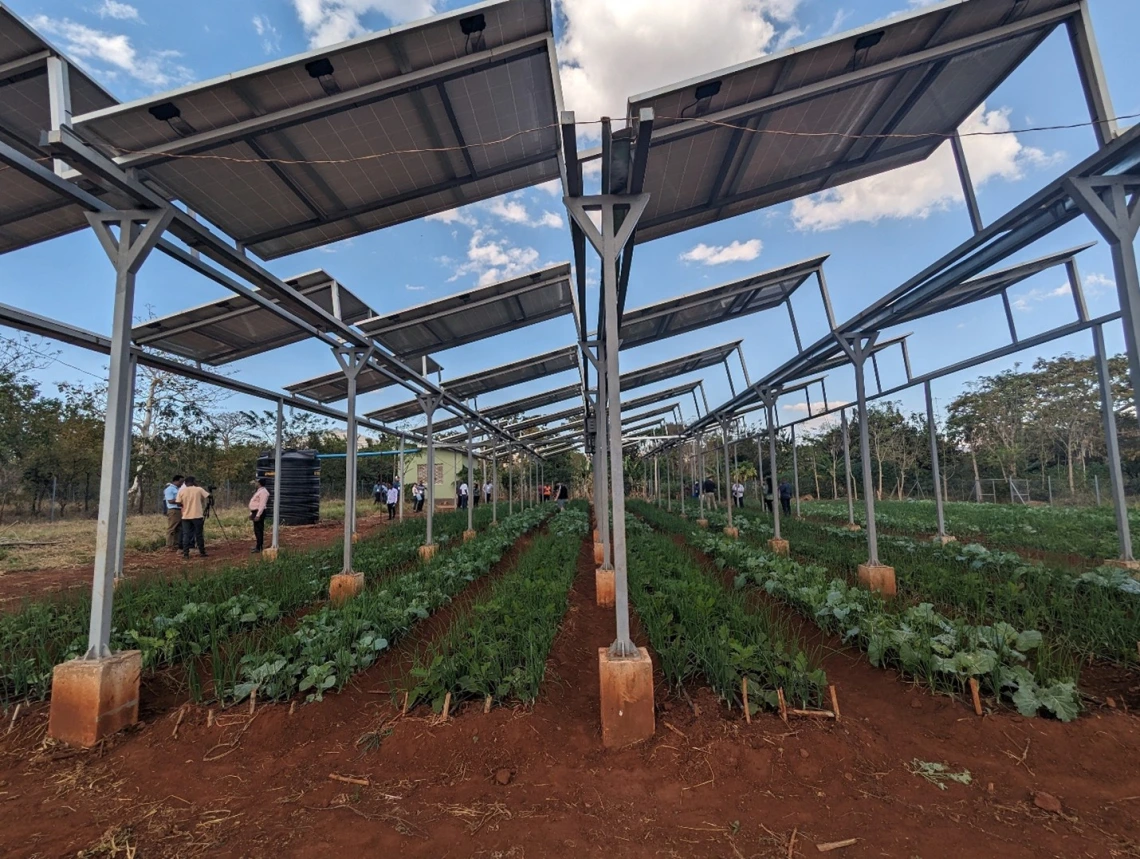 An agrivoltaic system near Morogoro, Tanzania