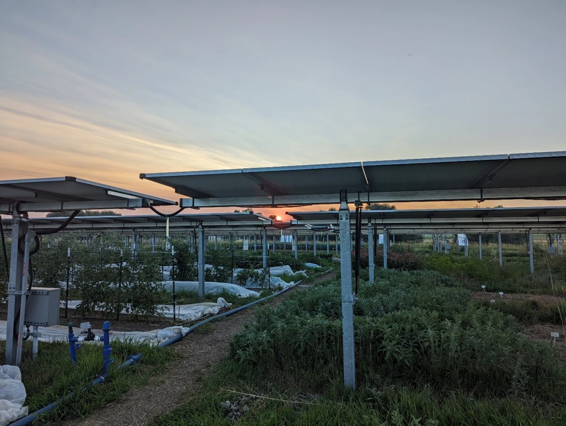 An agrivoltaic system near Longmont, Colorado